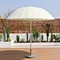 Market Umbrella